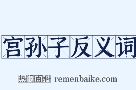 宫孙子反义词是什么意思的图片